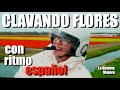 La Gaviota Viajera #214: CLAVANDO FLORES CON RITMO ESPAÑOL EN HOLANDA (4K)