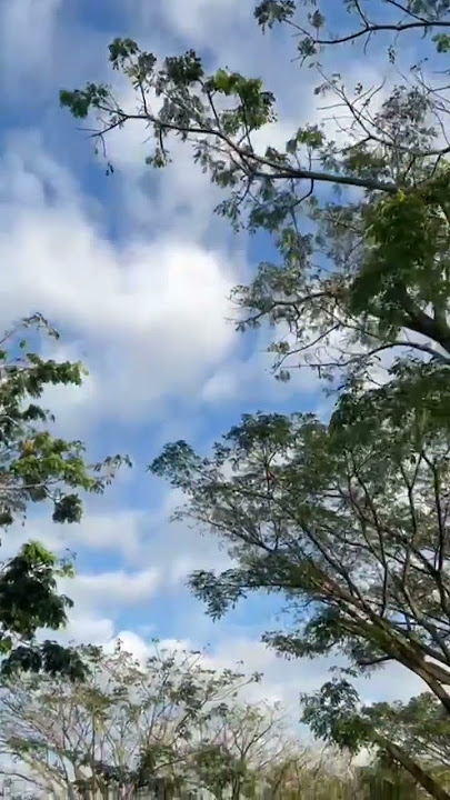Langit Biru Cerah🌤️