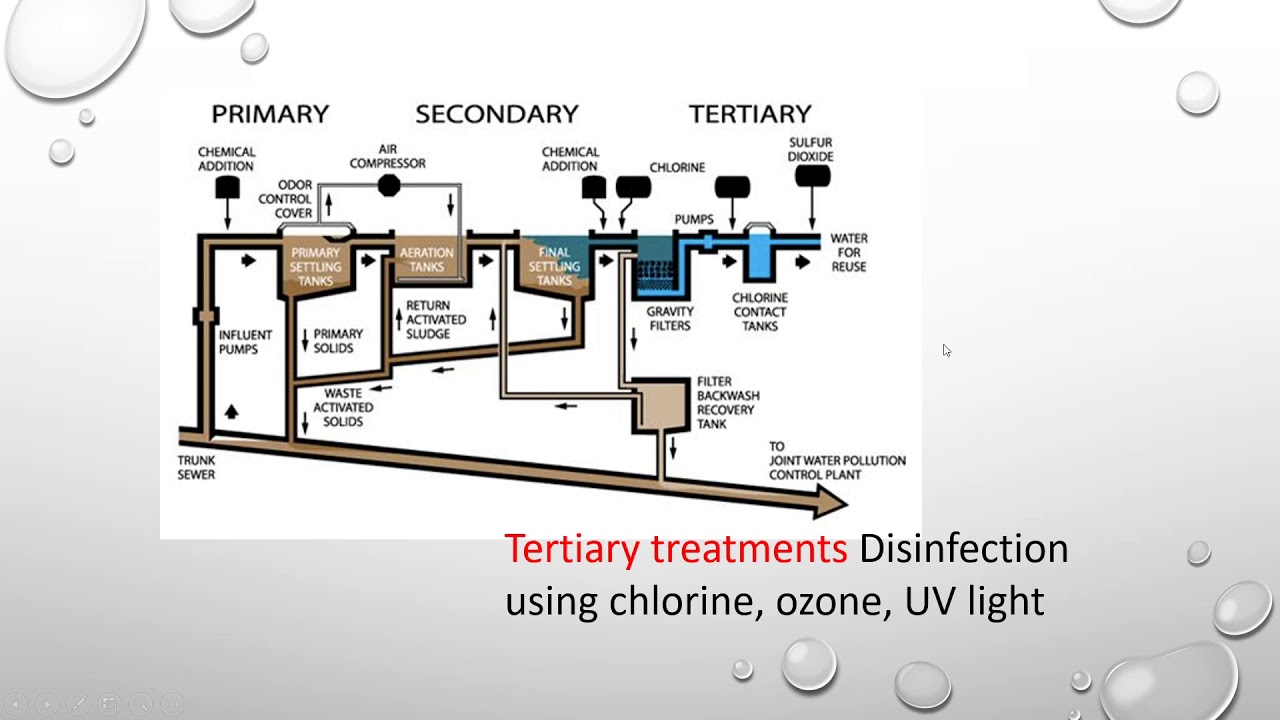 APES Unit 8.11 Sewage Treatment YouTube