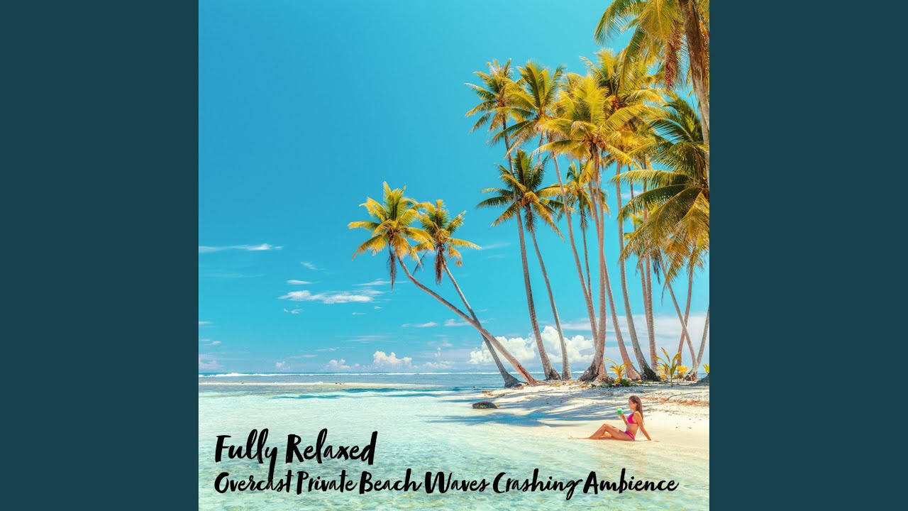 Guarda Overcast Private Beach Waves Crashing Ambience, Pt. 7 su YouTube