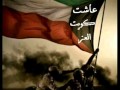 كويت الكل جنون الكندري كويت الكل جنون الكندري