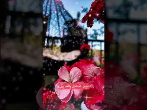 ايلي شويري وحده الزمن