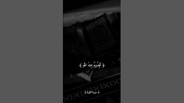 الشيخ احمد العجمي#قرآن #تلاوة #قران_كريم #راحة_نفسية #اكسبلور