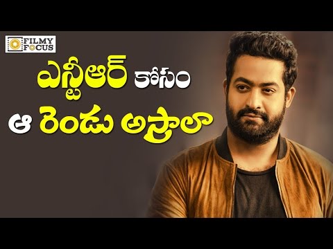 Puri Jagannadh Ready with Two Stories for NTR Next Movie - Filmyfocus.com