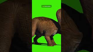 Would humanity survive another asteroid like the one that killed the dinosaur?  #ScienceHistory