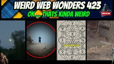 weird web wonders 423