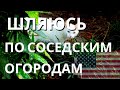 ЖИЗНЬ ВО ВРЕМЯ ПАНДЕМИИ В США.  ПОШЛА ПО СОСЕДЯМ. ЧТО ТАМ У НИХ В ОГОРОДАХ