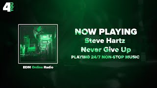 Steve Hartz - Never Give Up