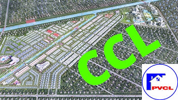 Cổ phiếu CCL hiện tại đang hot có đáng mua?