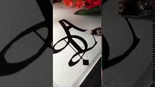 A.d. Spelling Whatsapp Status Tiktok Video