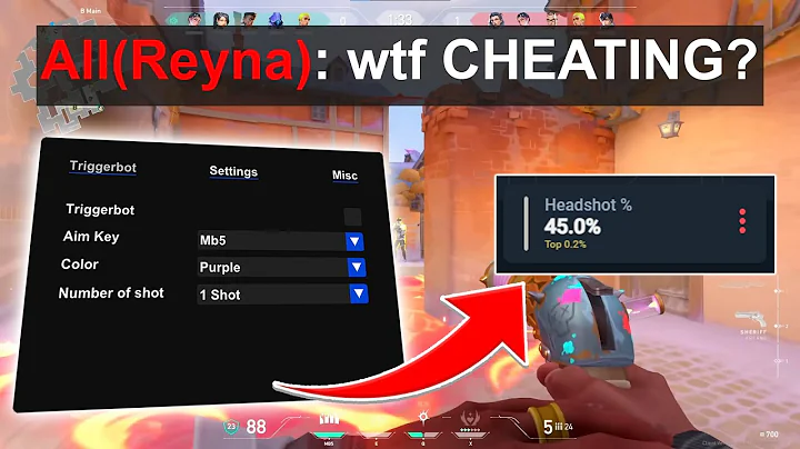 How I DOMINATE With BEST TRIGGERBOT In Valorant 2025 🔥