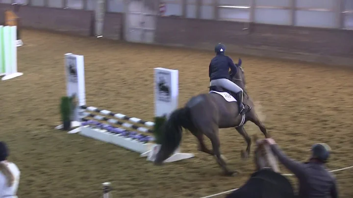 Manhattan Ridden by Liz Perry | Itty Bitty Jumpers