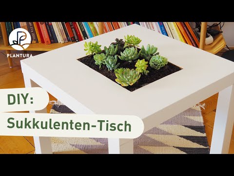 Diy Anleitung Tisch Mit Sukkulenten Bepflanzen Ikea Hack Youtube