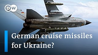 What weapons does Ukraine need and what is Germany willing to send? | DW News