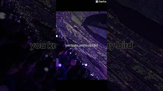 They Are Me Birds... And Who Is Your ?