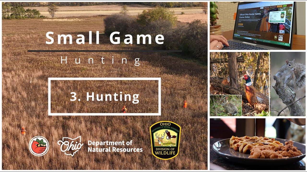 Охота на мелкую дичь. Эпизод 3 — День охоты.