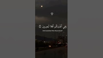 #القرآن الكريم #اللهم_صل_وسلم_على_نبينا_محمد #استغفرالله #الحمد لله #لا إله إلا الله