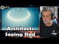 Let&#39;s Check Out Architects &quot;Seeing Red&quot; - Breakdown, Analysis