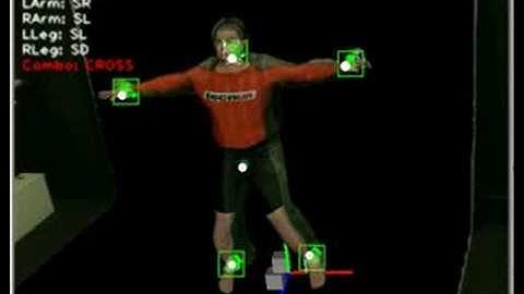 Markerless Human Motion Capture and Motor Action Recognition