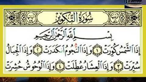 سورة التكوير عبد اللطيف العوض