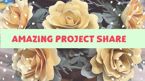 Amazing Project Share