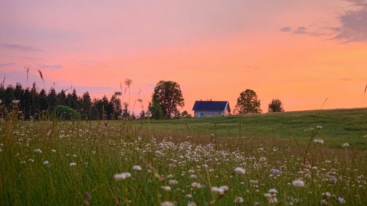 a quiet playlist for a quiet morning 🌱 (reading, studying & relaxing)