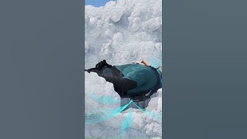 Incredible Inventions That Can Save Your Life 2025 | Safeback SBX #shorts