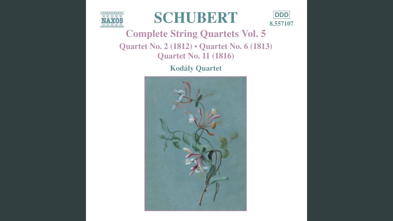 Obejrzyj String Quartet No. 2 in C Major, D. 32: Andante w YouTube