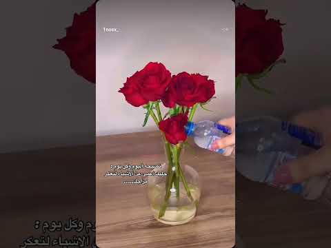 كاظم مشيتهم عل ورد اشتراك وللآيك       