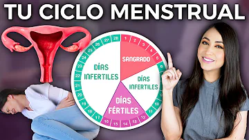 ¿Una menstruación regular significa que eres fértil?