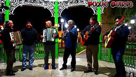 Alvaro Montoya - Huayno sentimental 2020 - Puquio