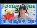 *JUNKY* DOLLAR TREE HAUL | Took my Dog with Me | BIG NAME BRAND FINDS for $1.25