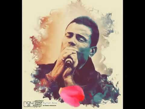 عمرو دياب رجعت لمطرحها