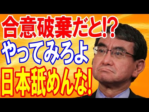 【海外の反応】河野太郎外相が日韓合意破棄を望むお隣さんに凄まじい一言で一刀両断！珍しい日本の本気姿勢に韓国は顔面蒼白ｗｗｗ【日本の魂】