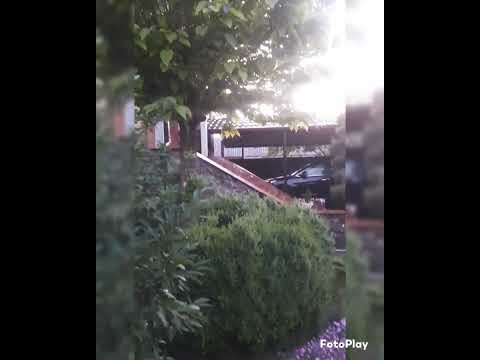 Красота вокруг нас,