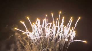 Celebrity Funke - Rising Python Yellow Wealth