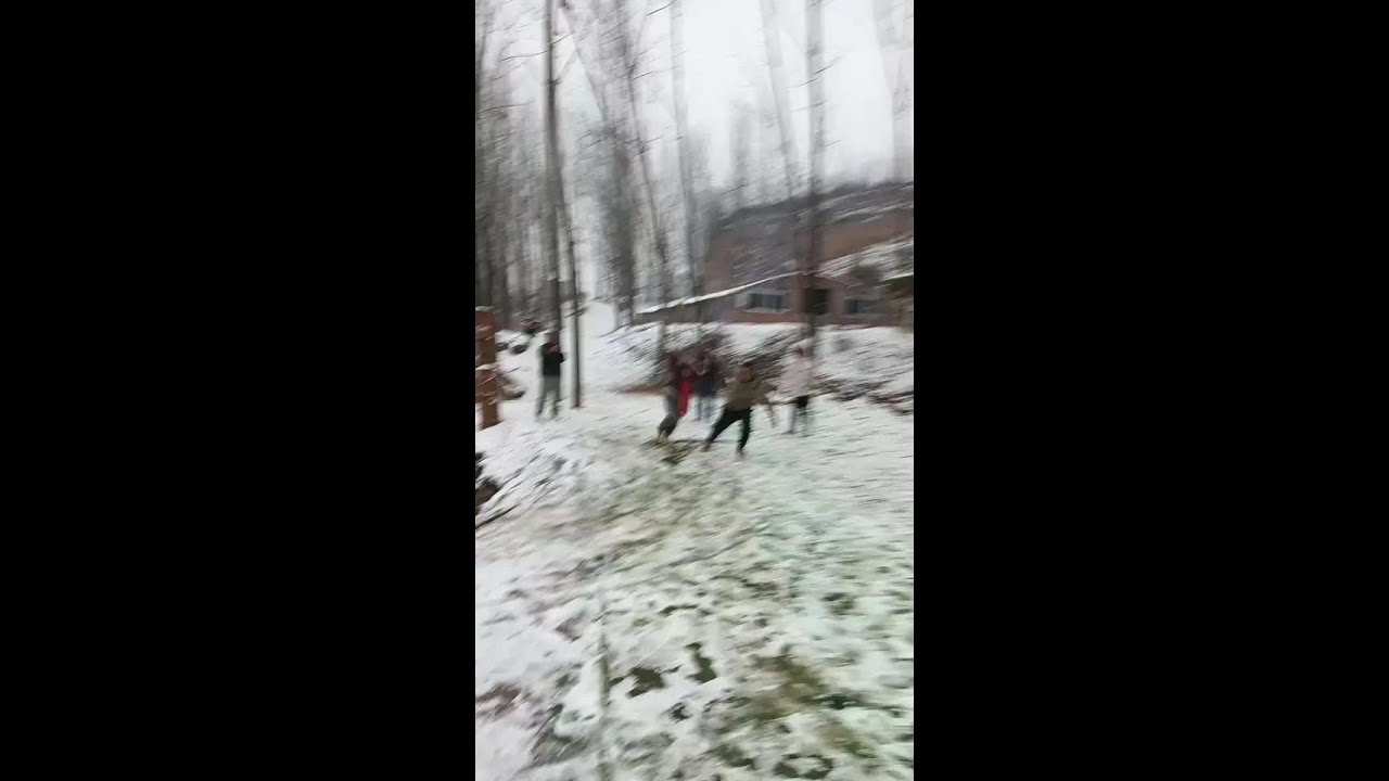 # Harmonious Coexistence between Humans and Animals