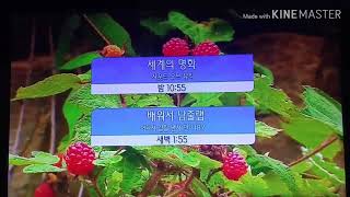 20190209 EBS1 방송순서영상(음악만 수정)