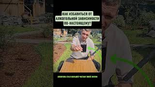 Как избавиться от алкогольной зависимости по настоящему? #броситьпить #алкоголь #зависимость