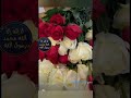 عايزين نروح و نفرح النبي الشيخ جابر البغدادي 