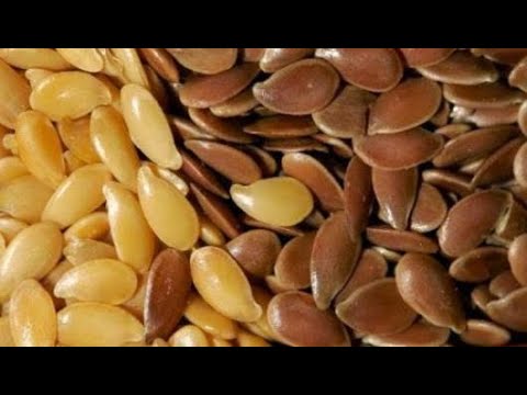 مكونات البذرة