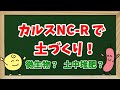 【堆肥作りが不要に!?】土壌改良資材 カルスNC-Rで土作り！ 土中堆肥化？ 生の有機物を活かした省力型 土づくり