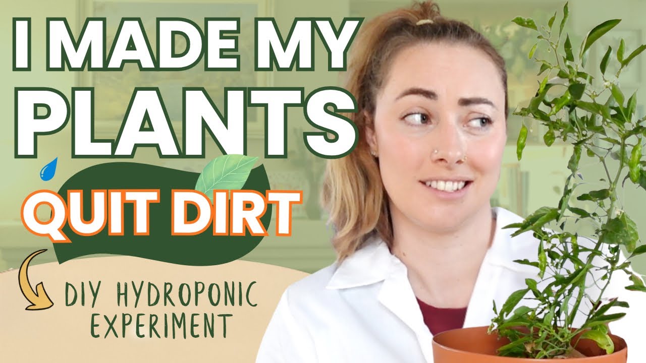 Was This a Mistake? | Converting My Outdoor Garden to Hydroponics for Winter