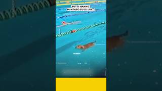 Gara di Nuoto particolare #attualità #fabiosilvernews