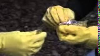 Water Testing: phosphates