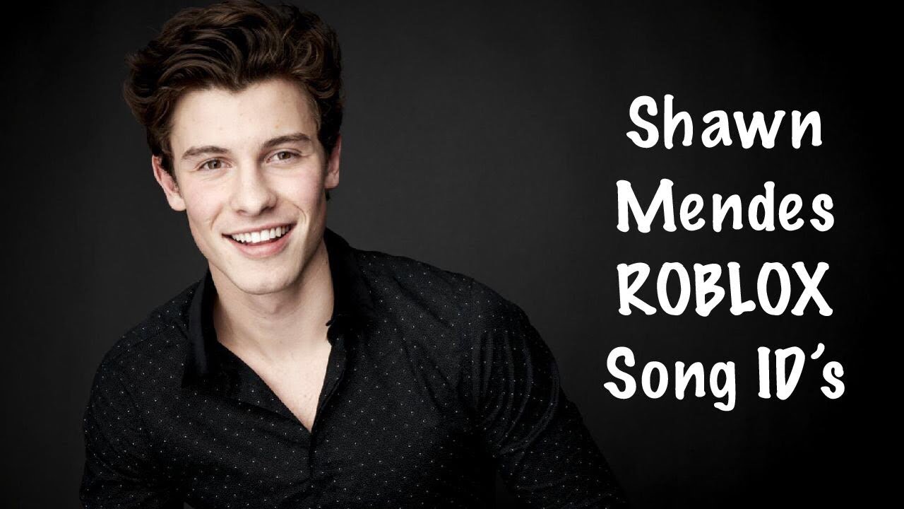 Shawn Mendes Roblox Song Id S Youtube - mercy shawn mendes roblox music video