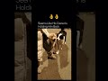 dog Just like that#shortsfeed #ytshorts #shortreels @MrBeast