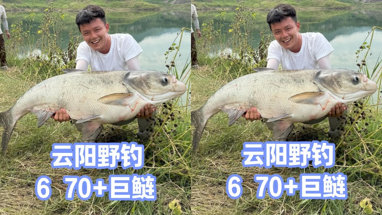 吴亚2025年云阳首尾60+野生大花鲢成功上岸