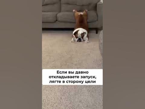 Поставь цель и иди к ней, не можешь идти ползи, не можешь ползти, ляг и ...