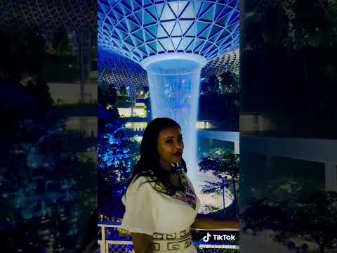 ጎጃም ላይ ናልኝ Gojjam Whatsappstatus New Newsong Reels Realmadrid Arsenal Music